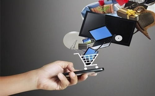尊享V服务热潮下的网络购物监管与互联网安全服务